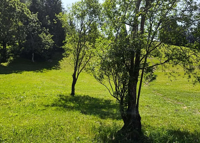 Dauerstein Hébergement de vacances *