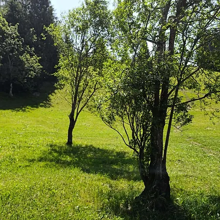 Dauerstein 度假居 *